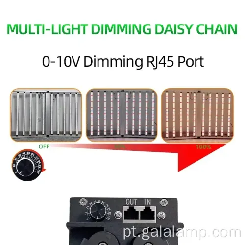 Aprimore a fotossíntese com a luz LED de Grow Bar Premium